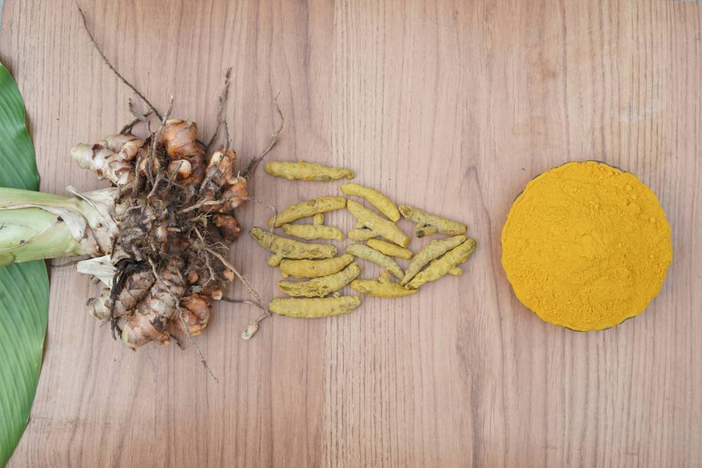 Allergy Turmeric Prevention Aid: The Overlooked Shield for Your Pet’s Immune System