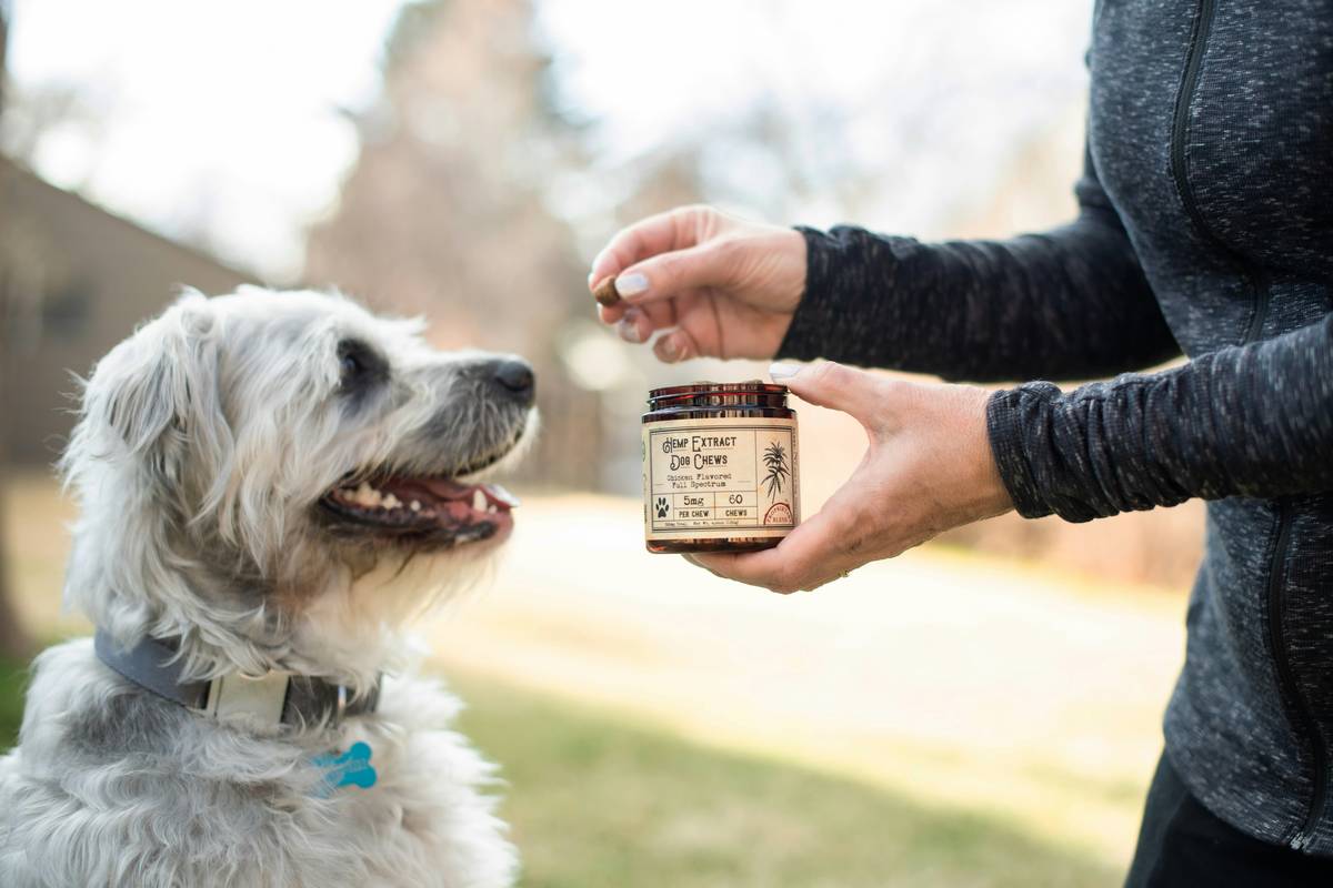 Close-up of premium turmeric joint care relief capsules for dogs on wooden surface