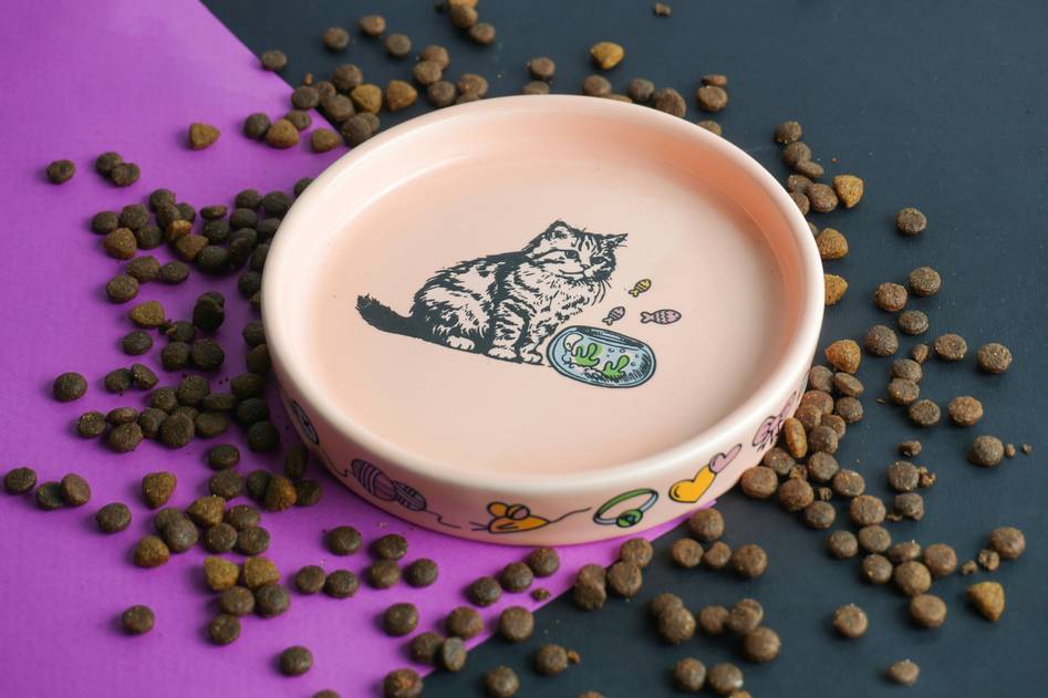 Golden turmeric root and capsules beside a relaxed golden retriever on a cozy pet bed