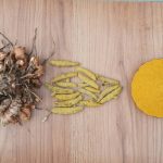 How Turmeric Pet Allergy Care Can Quiet Your Dog’s Itchy Misery—for Good