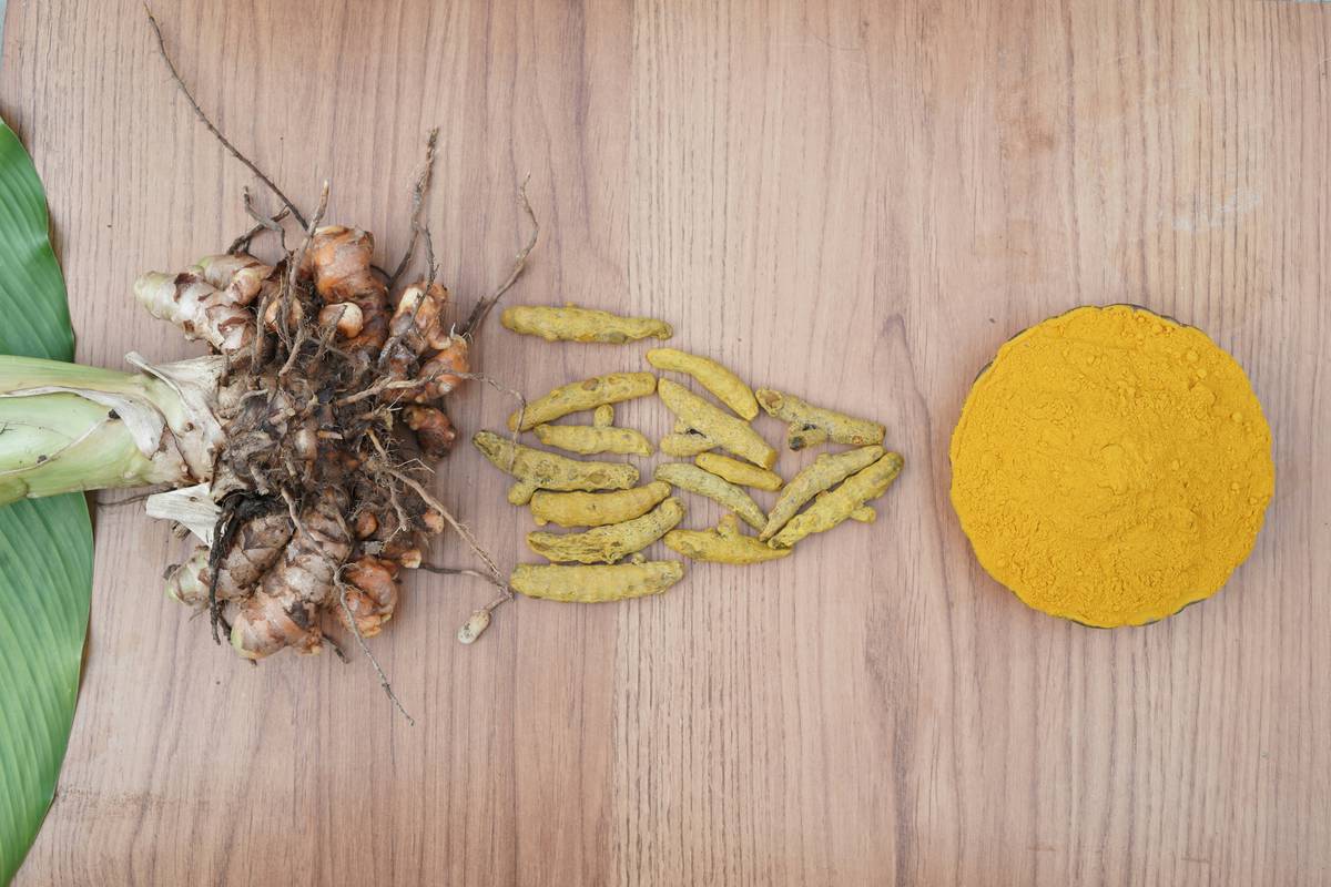 inflammation turmeric reducer pet: The Honest Truth About Curcumin for Dogs and Cats