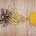 Turmeric Allergy Prevention Supplement: A Smarter Shield for Sensitive Pets